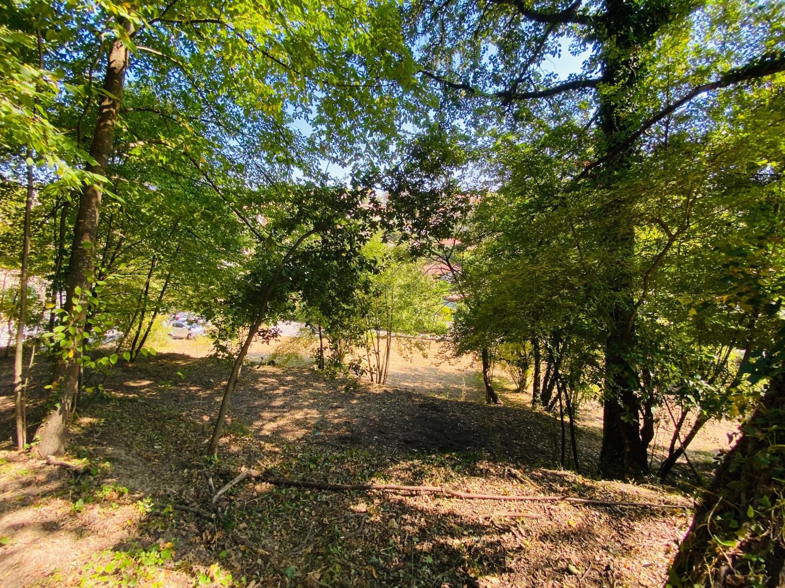 Image_, Terrain, La Colle-sur-Loup, ref :189