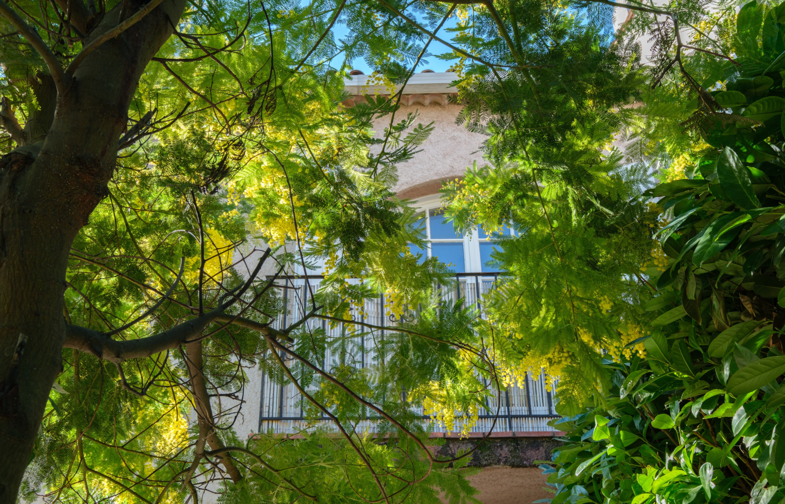 Image_, Maison, Villeneuve-Loubet, ref :VMA10000534