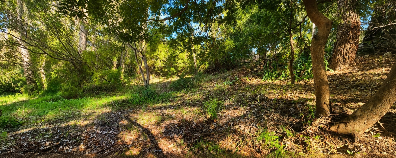 Image_, Terrain, Saint-Paul-de-Vence, ref :VTE60000581