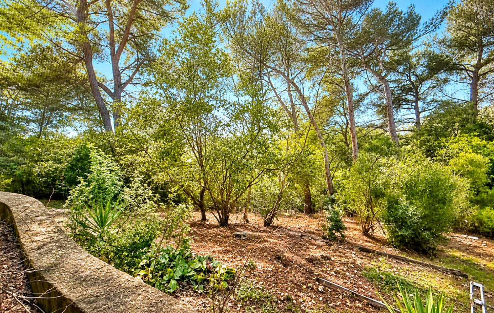 Image_, Terrain, Saint-Paul-de-Vence, ref :VTE60000581