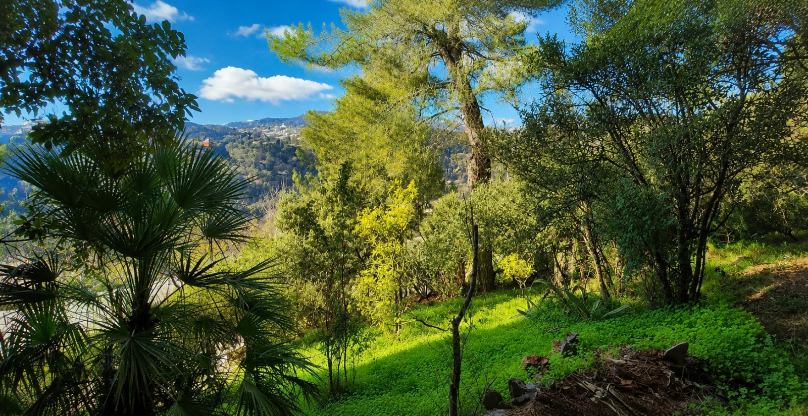 Image_, Terrain, Saint-Paul-de-Vence, ref :VTE60000581