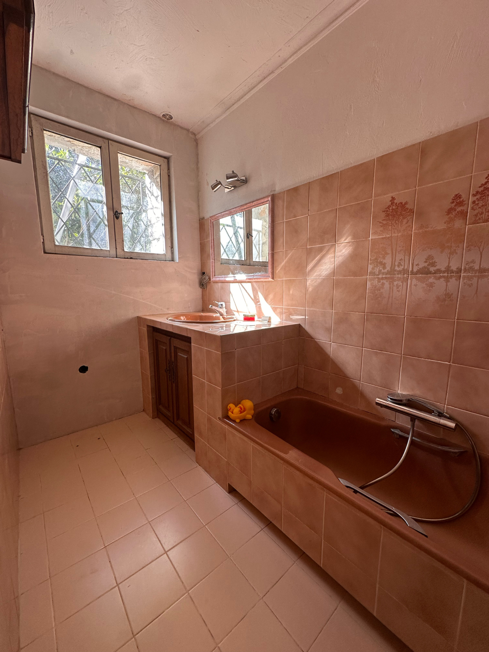 Image_, Appartement, La Colle-sur-Loup, ref :664