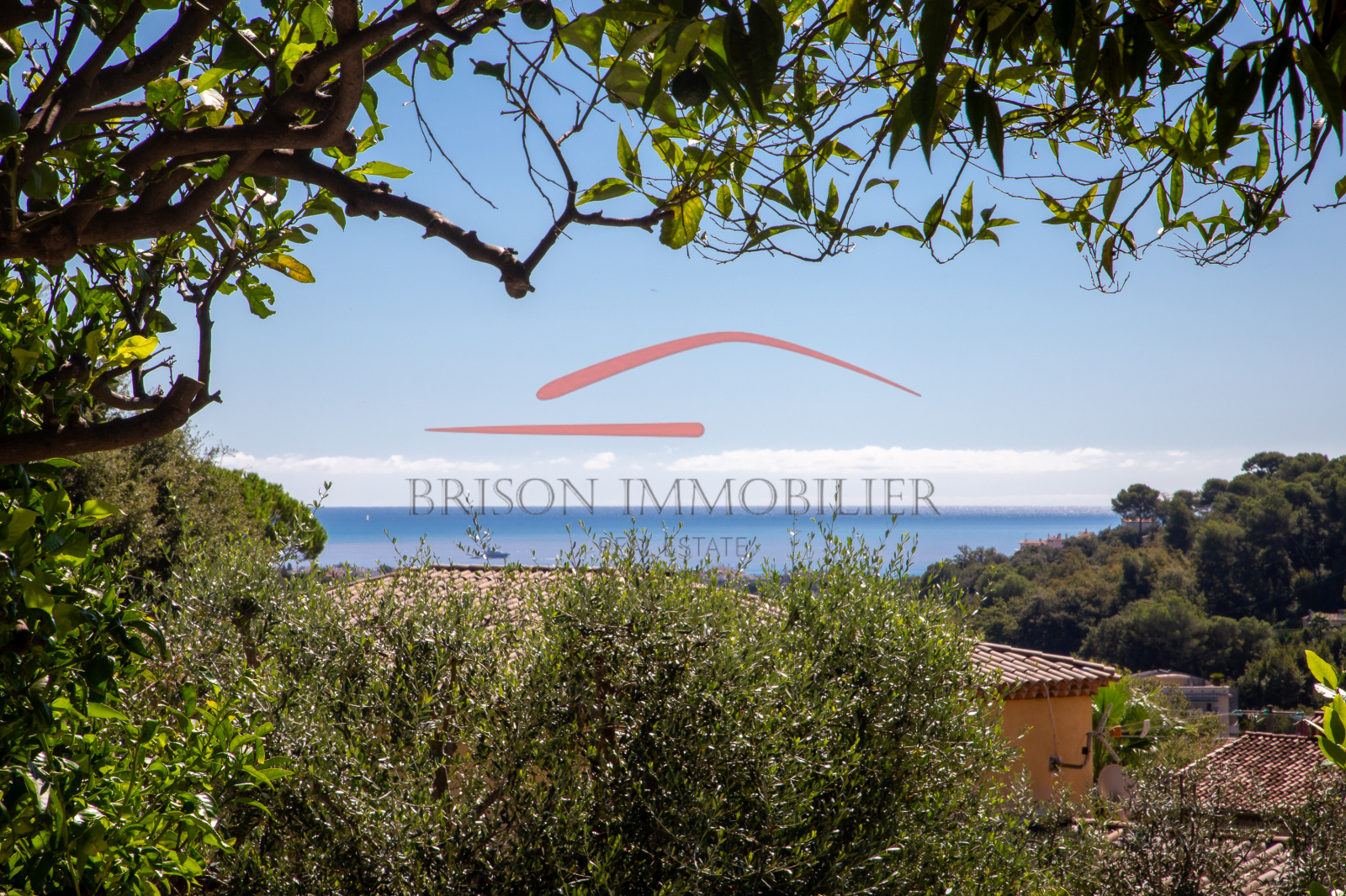 Image_, Villa, Cagnes-sur-Mer, ref :401