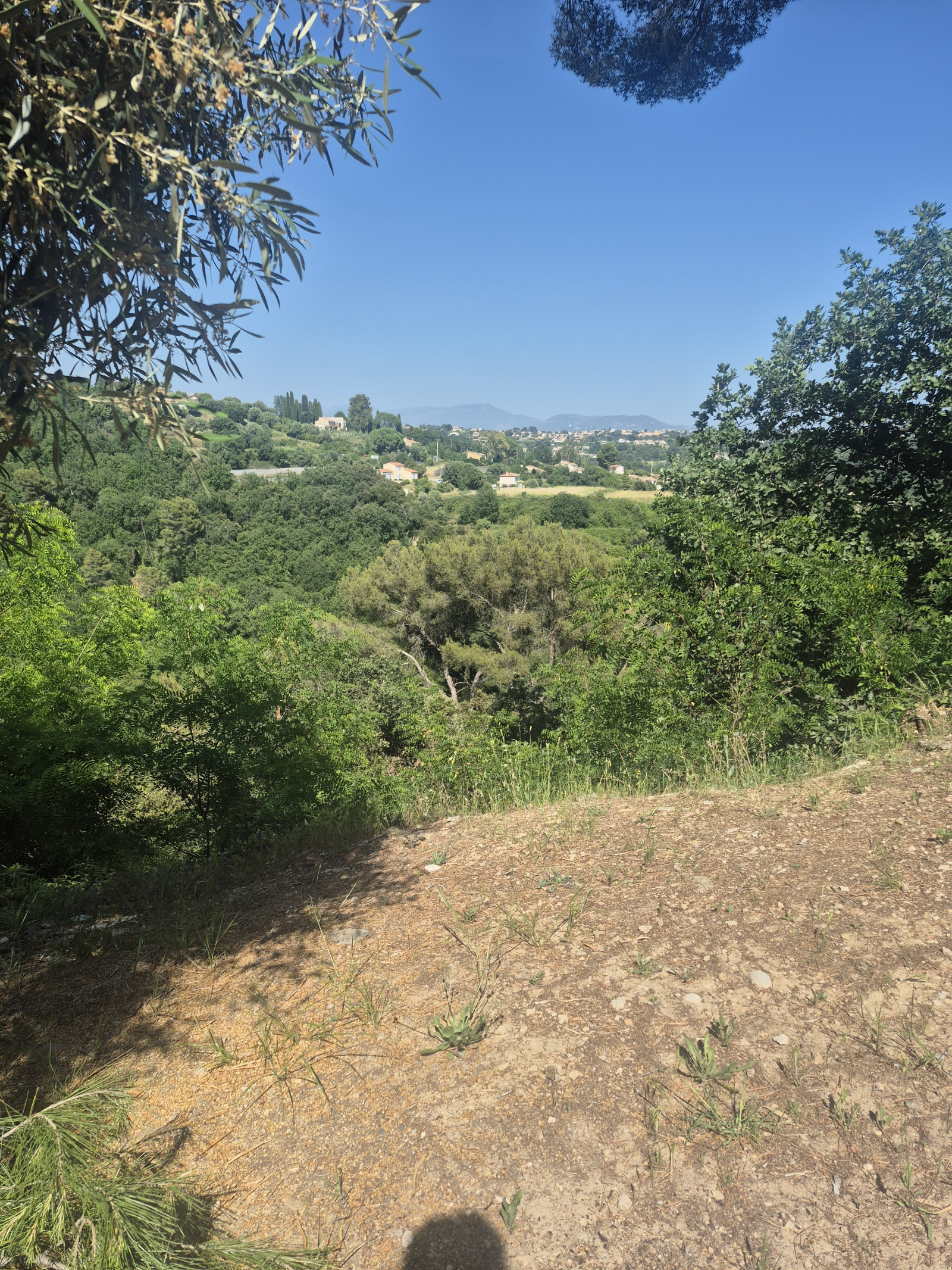 Image_, Villa, Saint-Paul-de-Vence, ref :VVI60000588