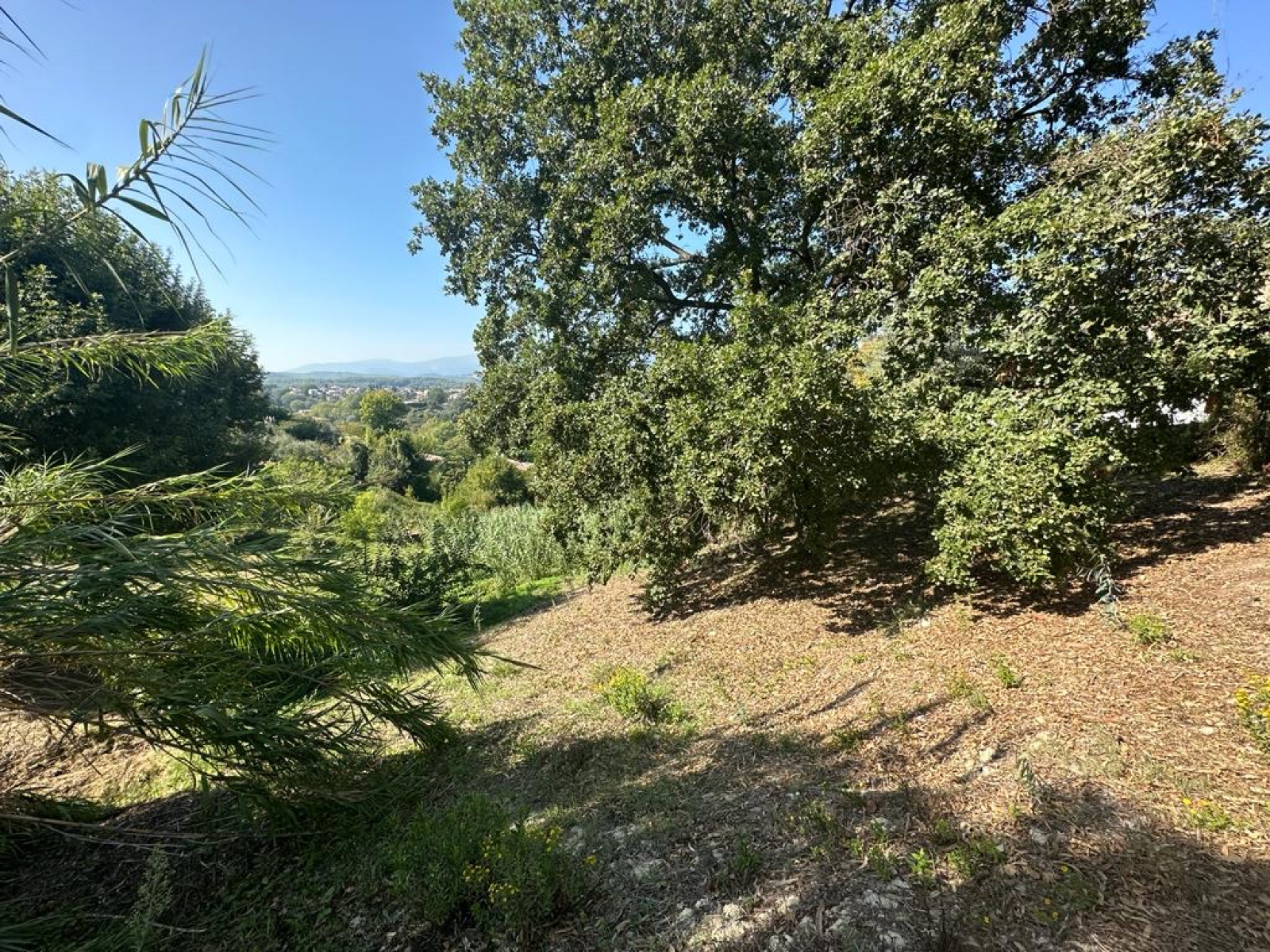 Image_, Terrain, Saint-Paul-de-Vence, ref :1090