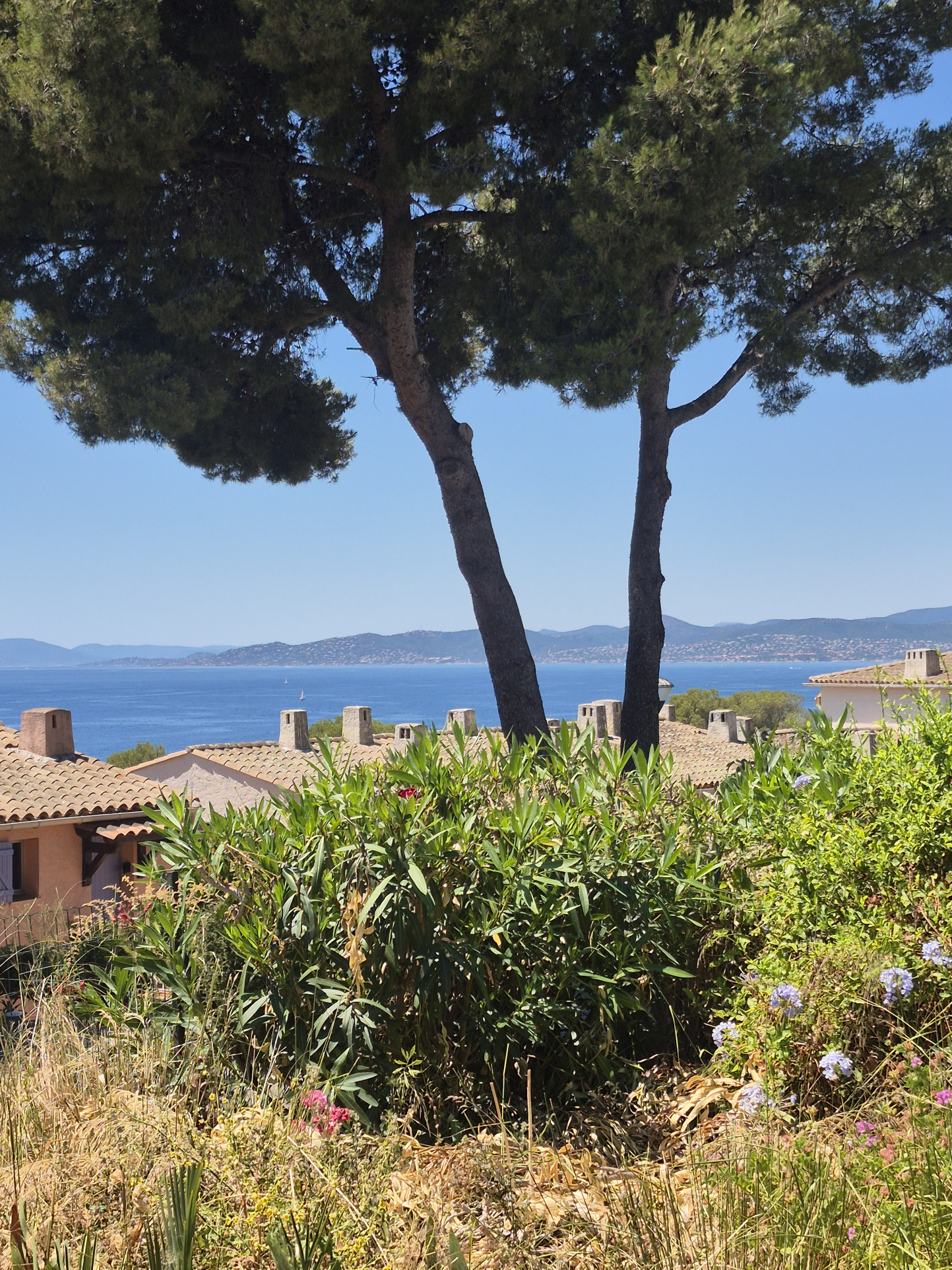 Vue mer à couper le souffle ! Maison avec jardin à 400 m des plages